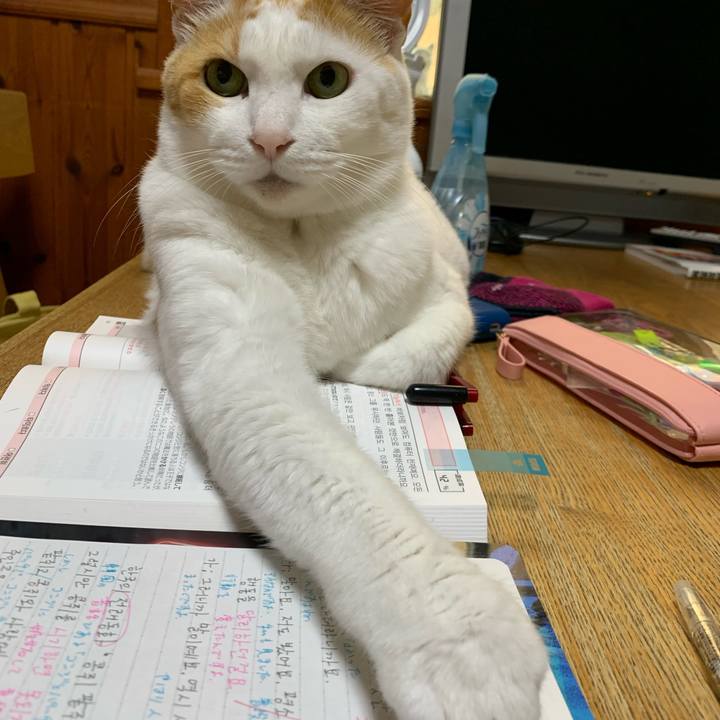 040d9162 3989 48cf 9801 0975b84abb4f 1624569413511