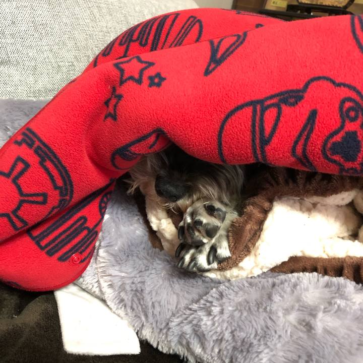 040e1d94 be20 4e3b b45d d0789a63ba6b 1607918247871