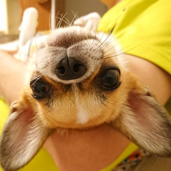 040e2191 84f4 400e 90e2 20aebfe43d2d 1569754715828