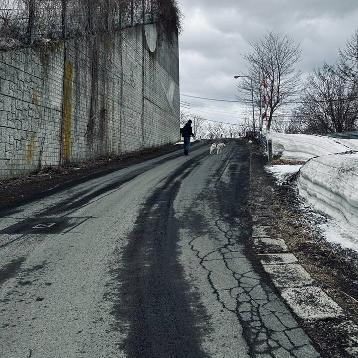 040e4332 b7eb 4f94 a867 18b1b100edb9 1742708500750