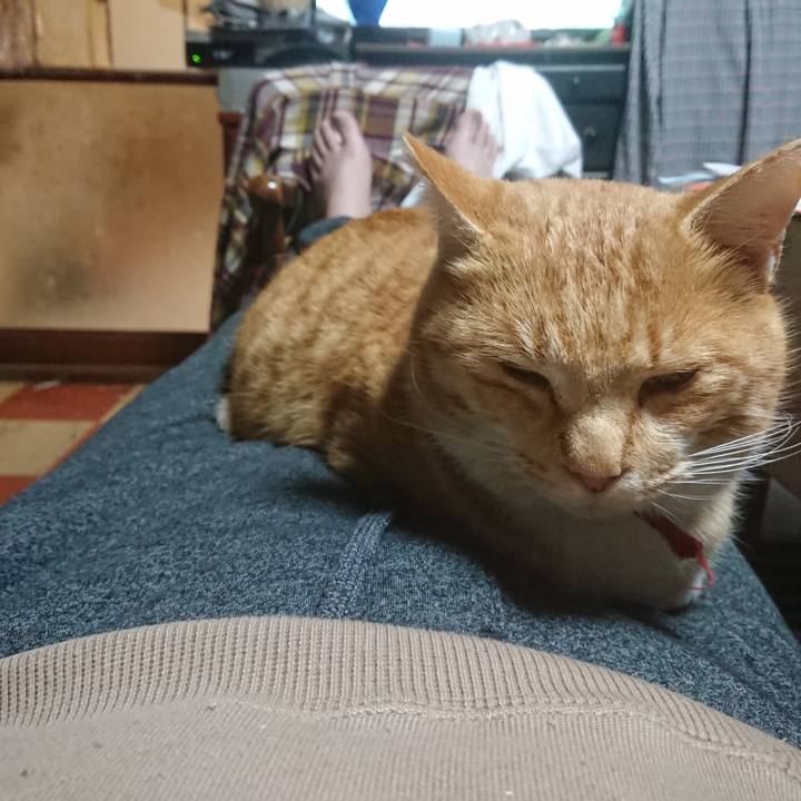 040e5d88 8e8d 457b a36e 918fee654908 1575539146108