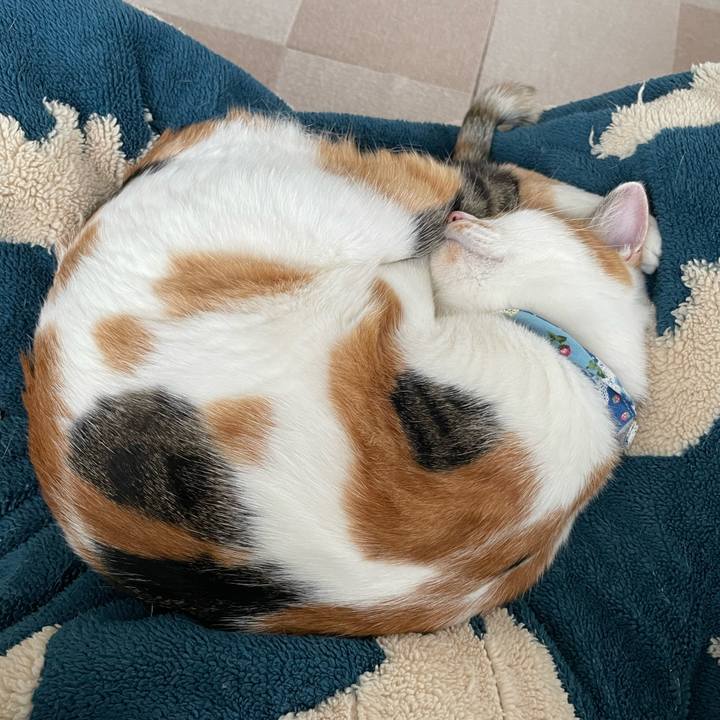 040ea200 72bb 4ff1 bee5 f0d7c0ede332 1697338927522