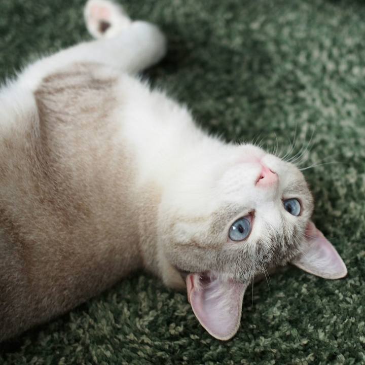 040ea60d eb4e 467d a5bb 4b7f1addfefe 1538449209578