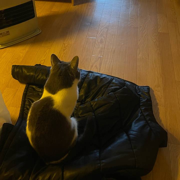 040ebd1b c3d8 4cb7 a994 82f9ef174108 1743409684156