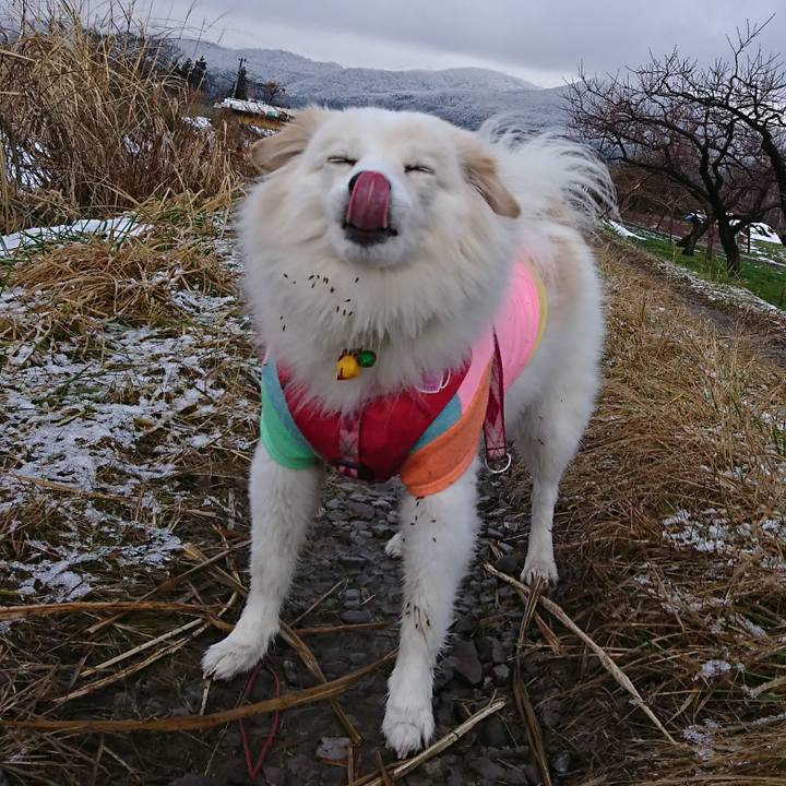 040ee0cd d302 48d7 8d78 ccf3d1b1ee38 1515539578518