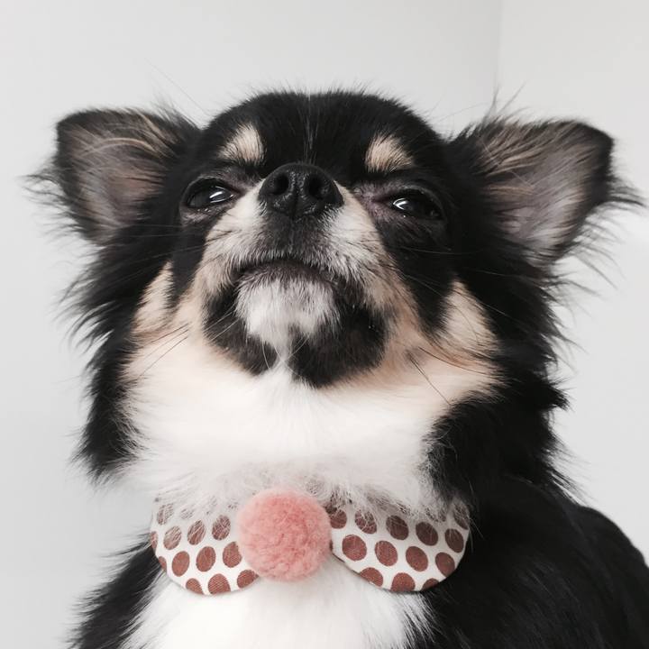 040eee9f 70f9 4aae a8ea dd76a1f7c0a9 1521631762741