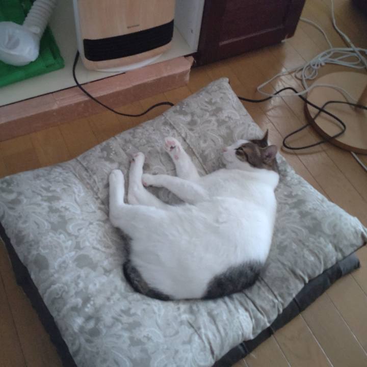 040f2b14 f824 435a ab31 1e5f349117f1 1726811658321