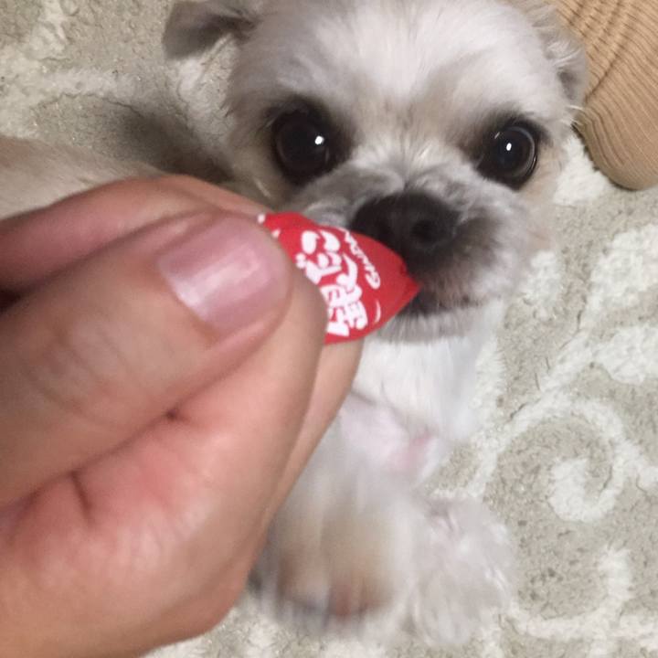 040f3de5 1847 4bc8 9c1f 0b0629153ca0 1556190683681