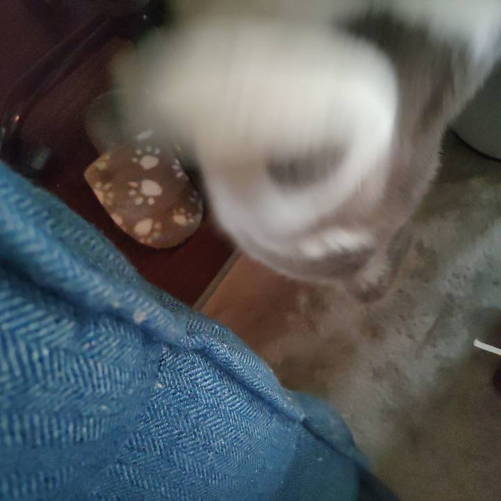 040f4c58 4009 466d b554 cba34a0ffe34 1653861458457