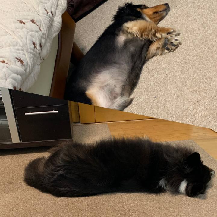 040f50eb 359d 4ab9 948b 827d3d4548e9 1565054847949