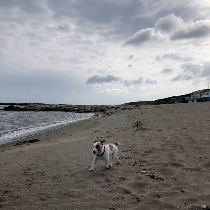 040f81be eac6 4d15 b12e 93a88c70f79b 1593214193134