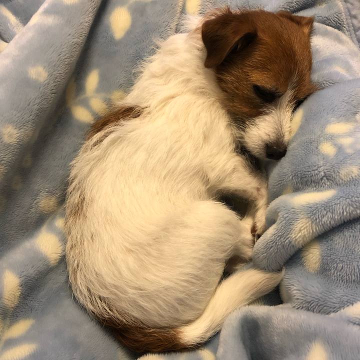 040f8cdb 24e4 4b02 9b4a ce667dc87a51 1578907484729