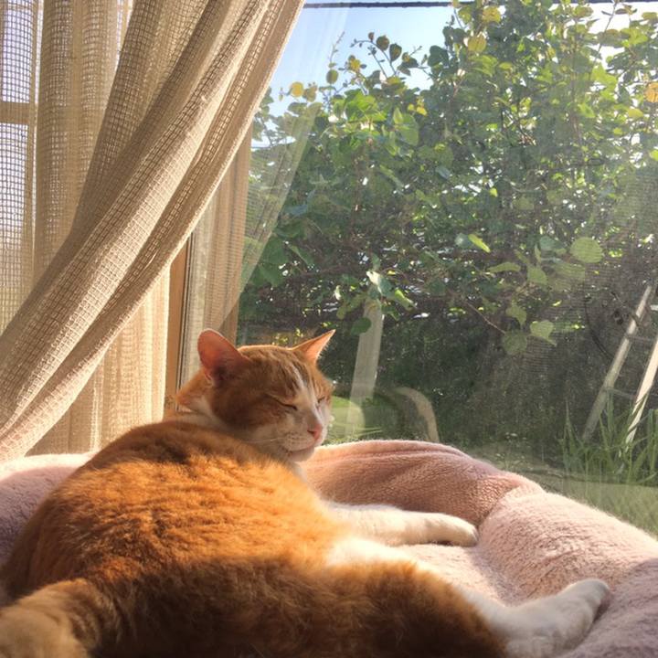 040f8d3c 8521 450f 948d e624d8559d0f 1558298924784