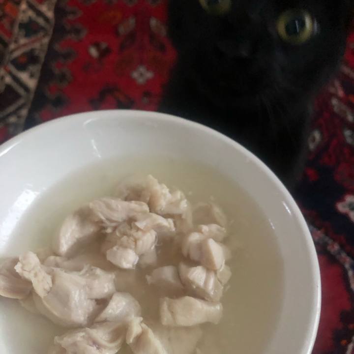 04102e9c e049 4326 9cb0 3af01e0b7619 1671671948647