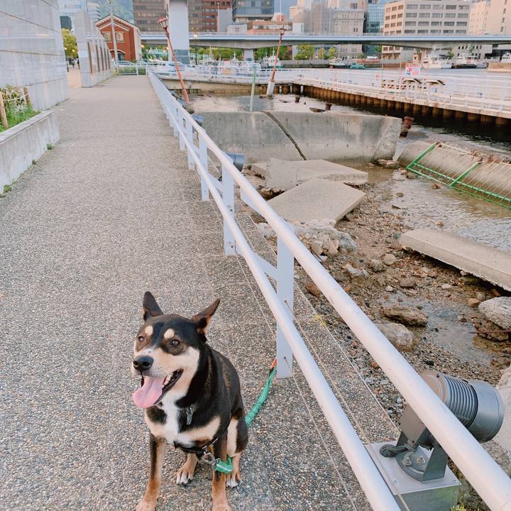 04104a34 845f 4e8e bba2 b427cb039650 1558004171500