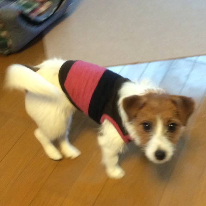 04108db5 9fc0 4fbb 90a5 3fd7bcf61a8e 1516411629249