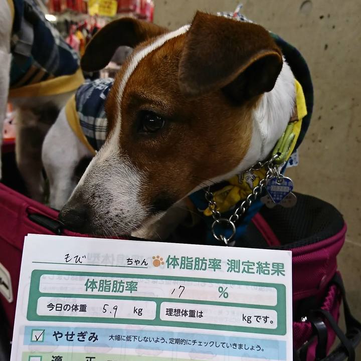 0410a025 194f 4ba3 b17f bb3371134e79 1553997181839