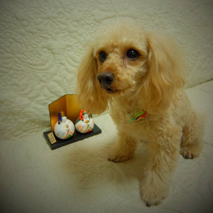 0410be57 970f 46eb 9327 dd56bf89bfd1 1520071362951