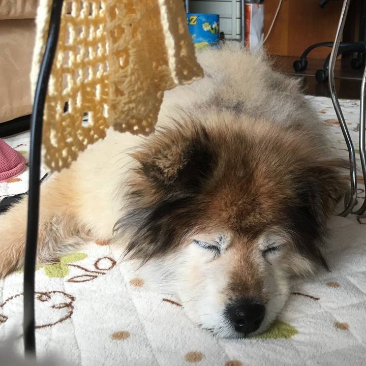 0410e49f 7bfa 4eb2 ba2d 67214ee376f1 1593950814632