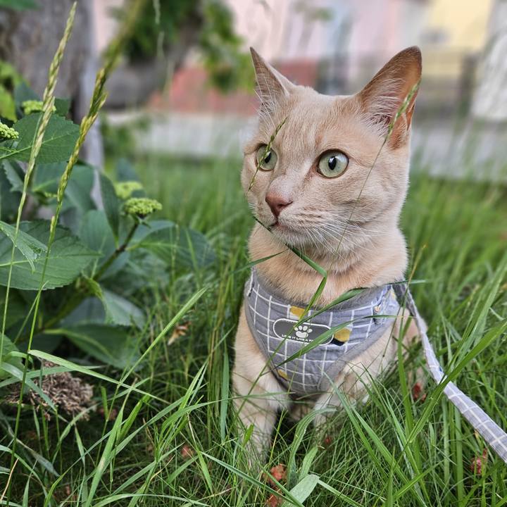 0410e800 b583 43b7 9cba b84ea542f05b 1719144065998