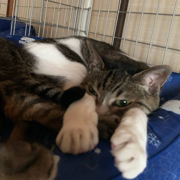 0410f0c5 e615 4b94 9723 1f8413833ee5 1595639601418