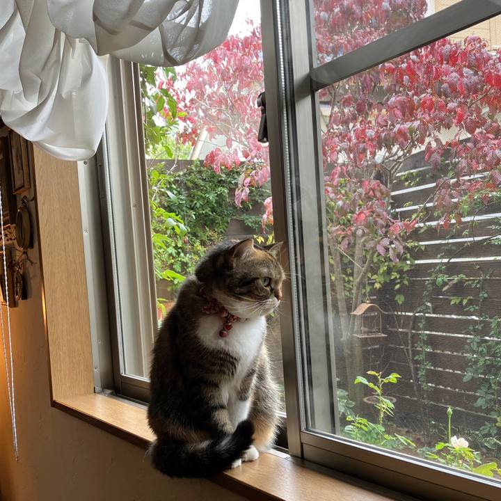 04111c87 6624 46ce 93a0 2c114ee8d5b1 1763888295616