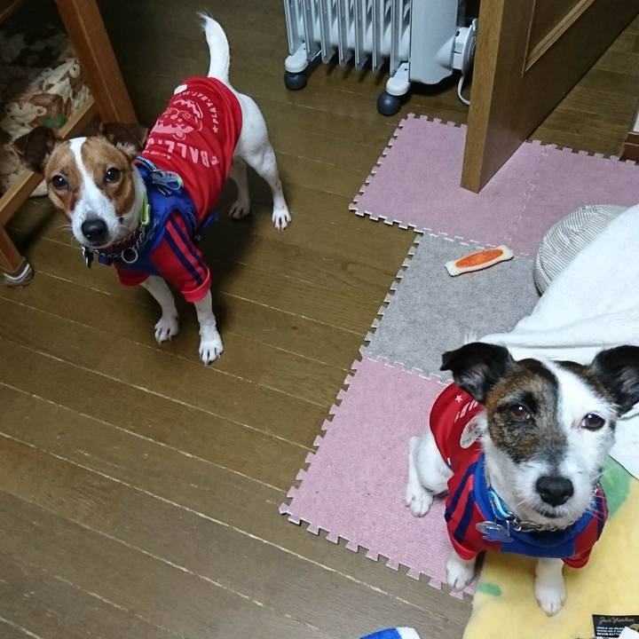 041156aa 8ea1 41b7 bb8f aa3e08f88ec4 1551626155877