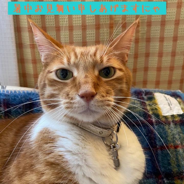 04117ff2 4948 4350 9e21 2cb974e2a56a 1657362221902