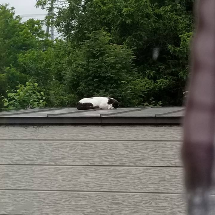 04119e93 a99a 4ca8 a2dc 7bd1bc515019 1593094509753