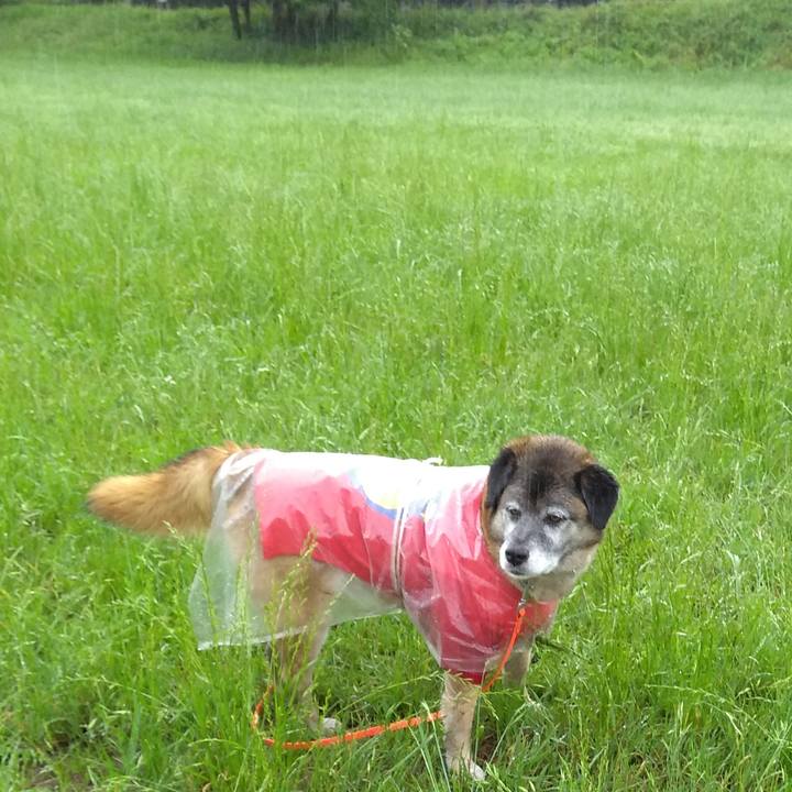 0411ee65 ad98 4db6 b1c0 d0255ea376a2 1560124248642