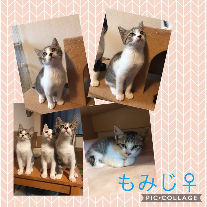 04122cf1 0ec5 40e2 b030 e5fbc01d7ecd 1599479135709