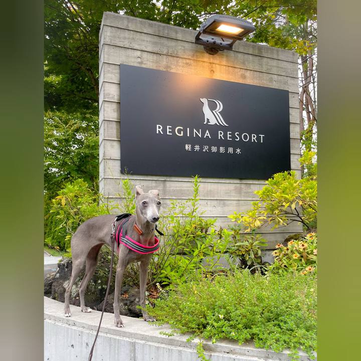 0412558a 139c 443e 94f4 57efba228bab 1758106745190