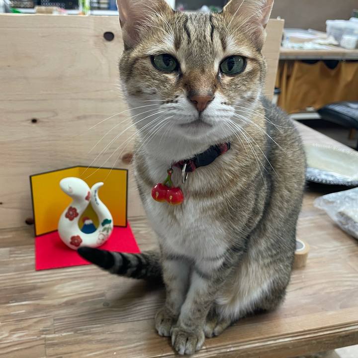 04126fd0 5064 4a34 b8c1 e0930a33a8d4 1732083223194