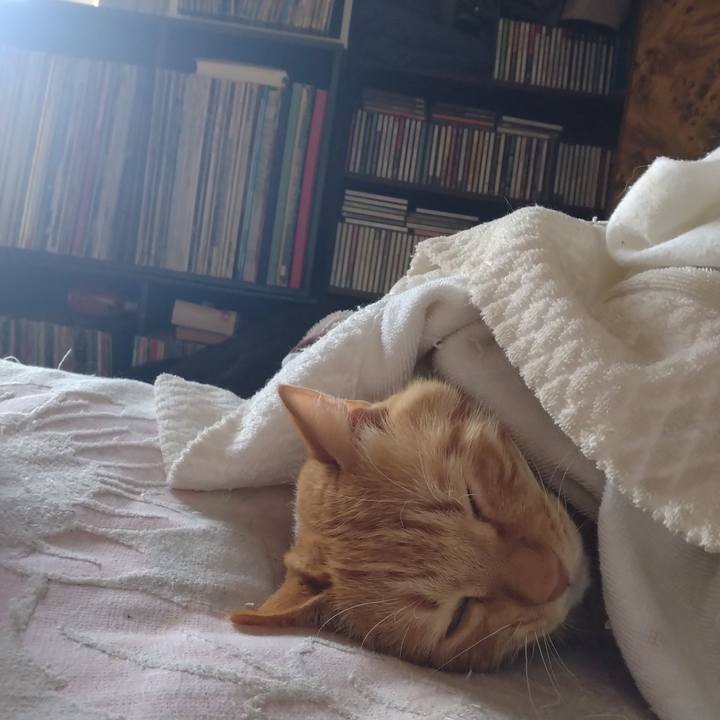 04128ddf 3b73 4dbf 8ab6 4c7c289698fd 1766131551880