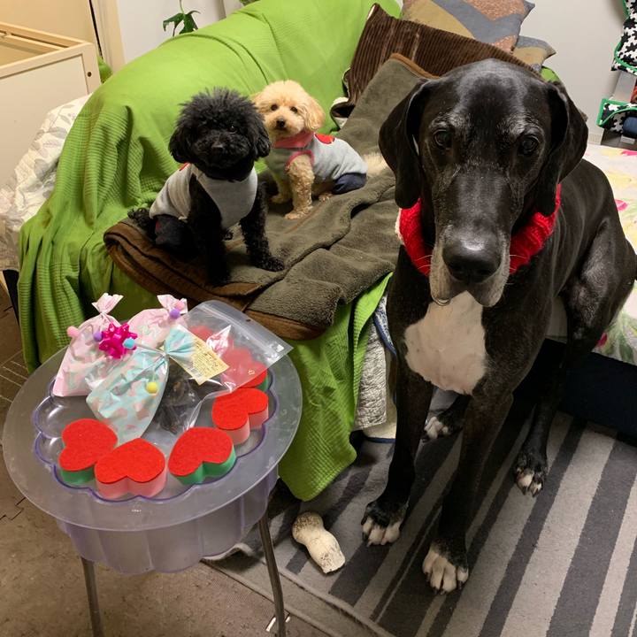 0412a7a7 a277 4af7 b51d 362d85c3fa7f 1550148088369