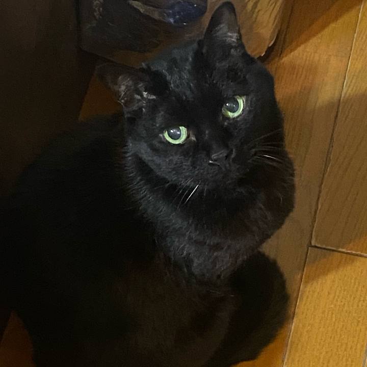 0412bafd 6a64 47a5 8073 c8fcbb4dddcc 1771601109145