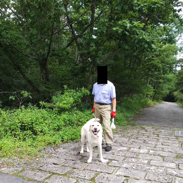 0412d561 9132 4188 8918 00f3e8c152d0 1566033153783