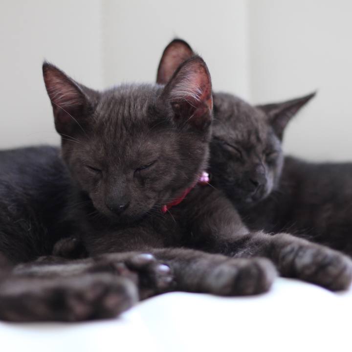 0412d9a5 3a4f 4252 a9a7 eddd9afcd679 1533016827209