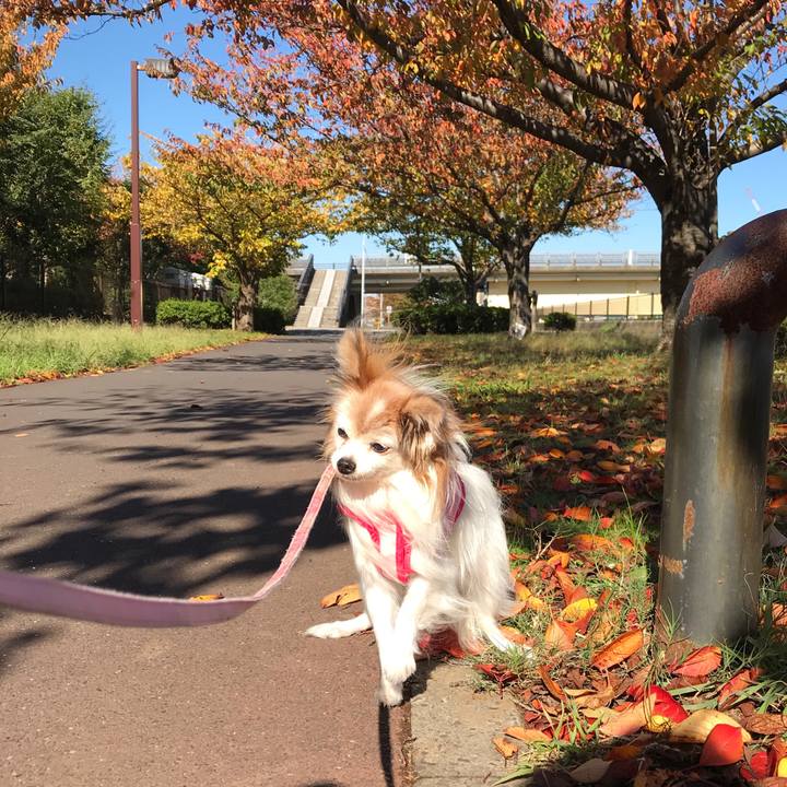 0412df54 e5e0 42b6 9d81 16a2ecf52345 1509334128008