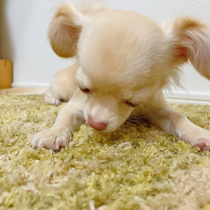 041324f7 f575 49c8 bf26 9c715e077fdf 1596173346823