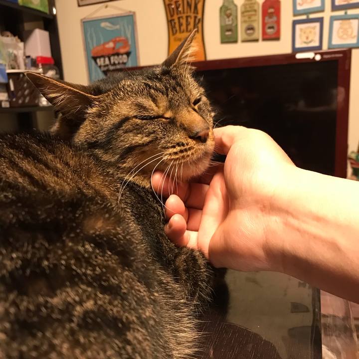 04132e23 5216 4398 80ac b5f11740020a 1651751862119