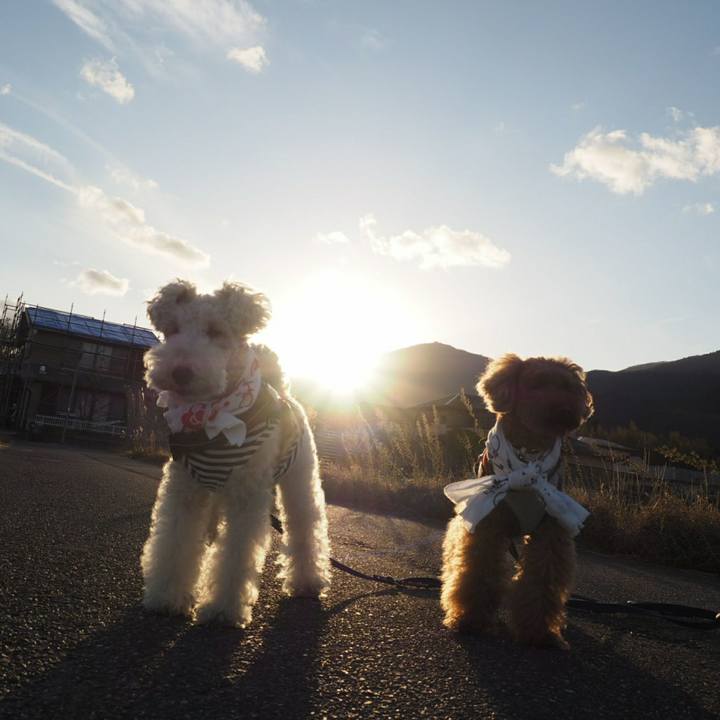 0413527c 2802 4d48 8f6b d3e077010e95 1510544665581