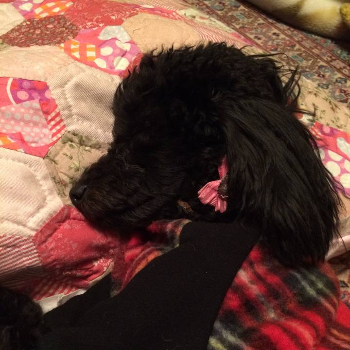 04135a61 86f2 4771 a004 e7abd35e7b17 1514472815903