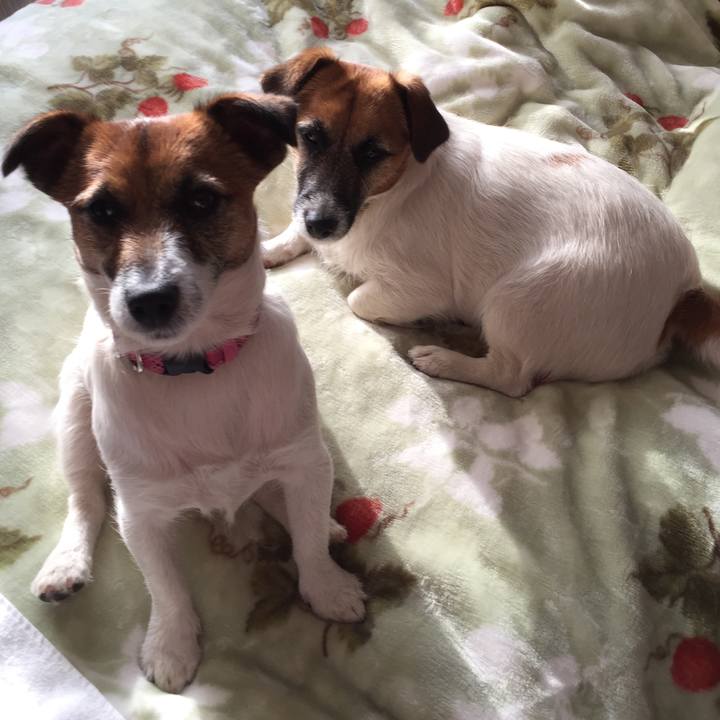 04138702 6e1f 4e81 8717 c4d72abf9d9e 1518761724260