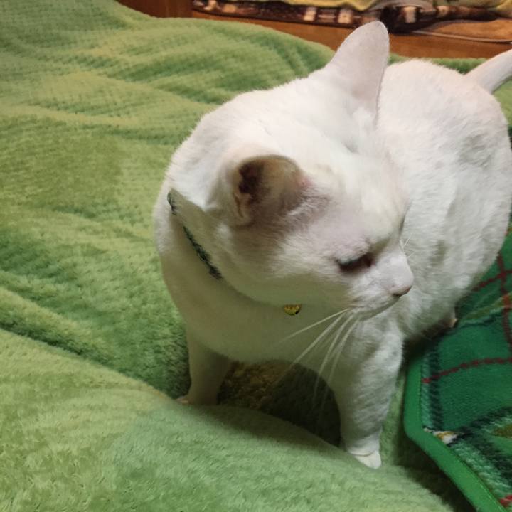 04139b47 bf4f 4e0e 8c8a f5506641394b 1552661529203