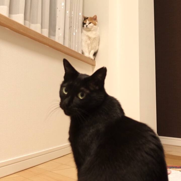 0413c79a 2e6c 48d1 bfa2 ea6c424591bf 1569941344682