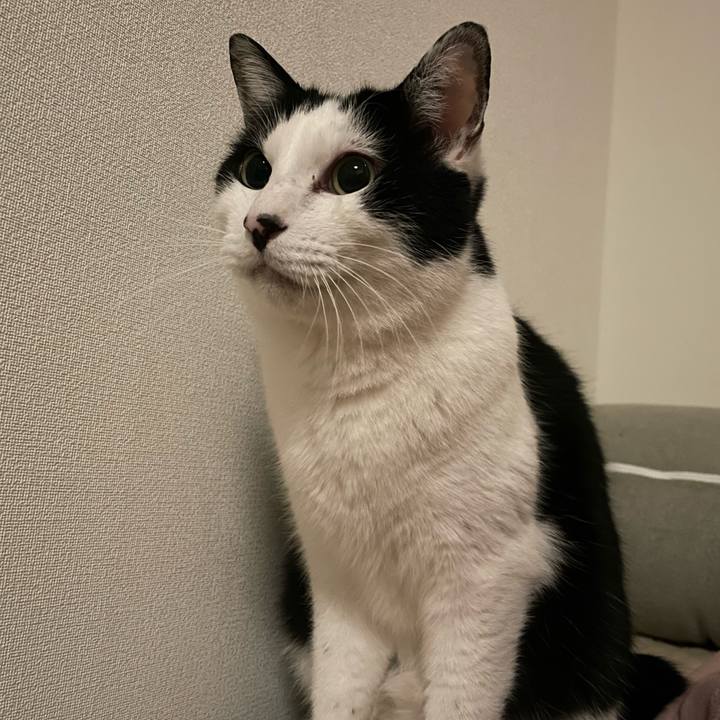 0413c921 65ce 41a2 be24 778fc7ba1727 1677246286797