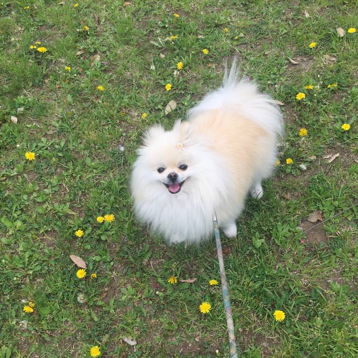 0413e608 17f6 419f b19a b23c3d79389e 1556017634949