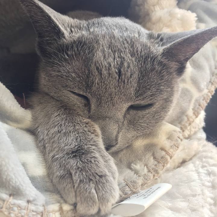 0413ed4a 8e83 4647 965c e956627e1393 1557370220577