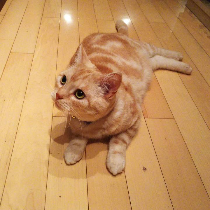 0414246a d9e2 48b9 a0c6 c2d00d8bf4bc 1511172033630